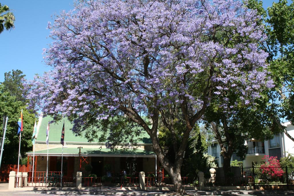 88 Baron Van Reede Guesthouse Oudtshoorn Exterior photo